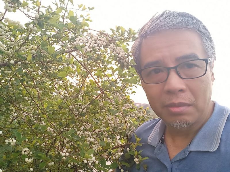 Ngài Kê đi làm cố vấn