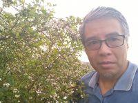 Nước mắt của Bảo