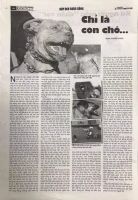 CHỈ LÀ CON CHÓ... (bài đăng báo Tuổi trẻ & đời sống, số ngày 27/5)