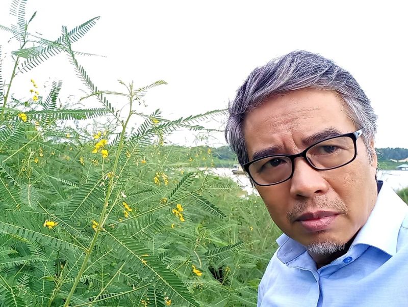 Những cánh hoa bay bay trong gió...