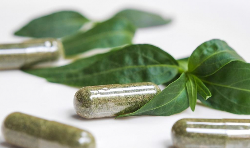 Cây thuốc xuyên tâm liên