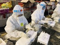 Dịch Covid-19, nhìn từ Bắc Ninh