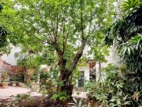 Bài hát GỬI LẠI EM TRONG CĂN NHÀ ẤY