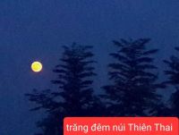 MÂY NÚI THIÊN THAI